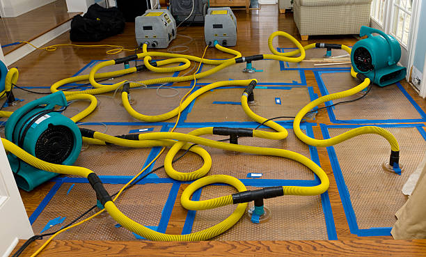 Professional Water Extraction technician working in Guerneville, CA